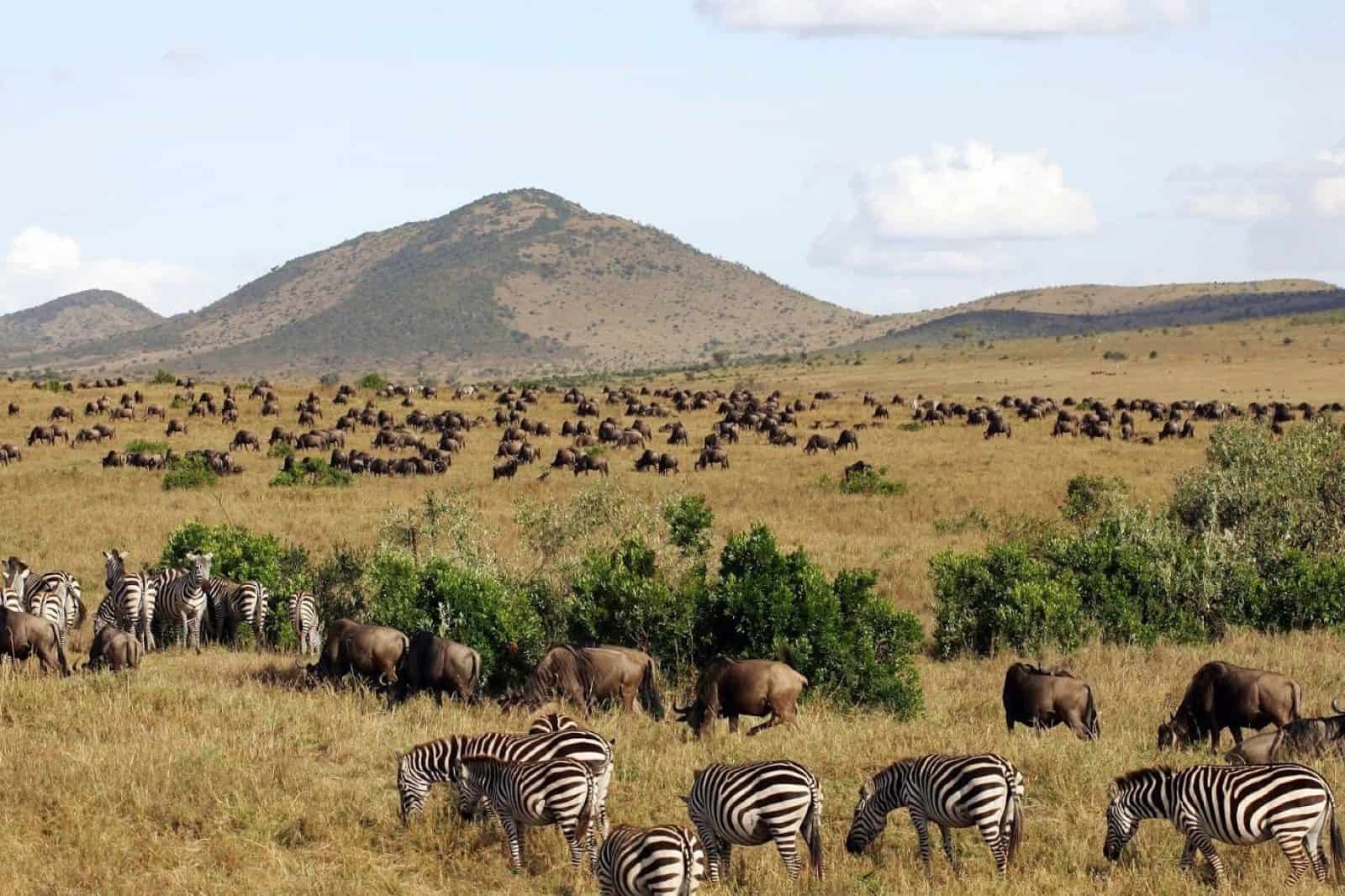 Masai Mara Gebiet